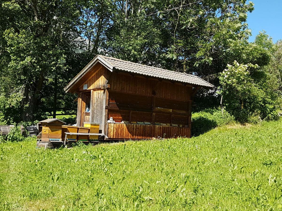 Apartments Nature Apis Landheim Anterselva di Mezzo Luaran gambar